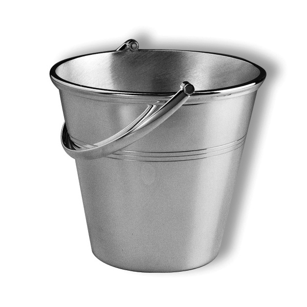 Ice pail with loop handle